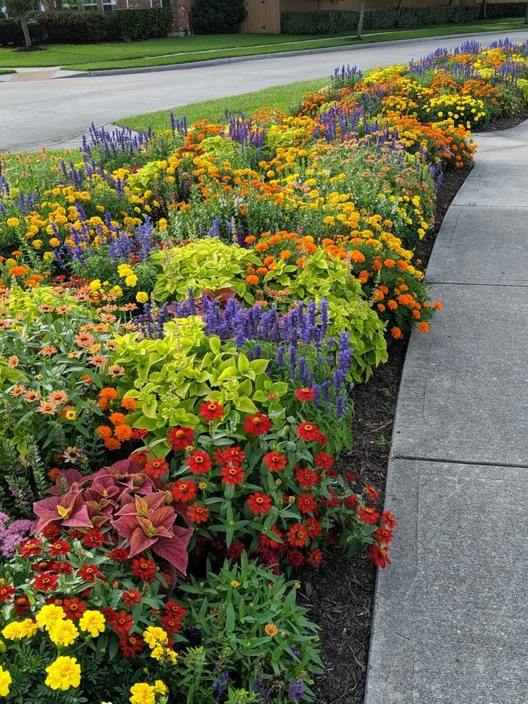 Top-rated landscape design for residential properties across Kemah, TX - KTS Landscape & Irrigation