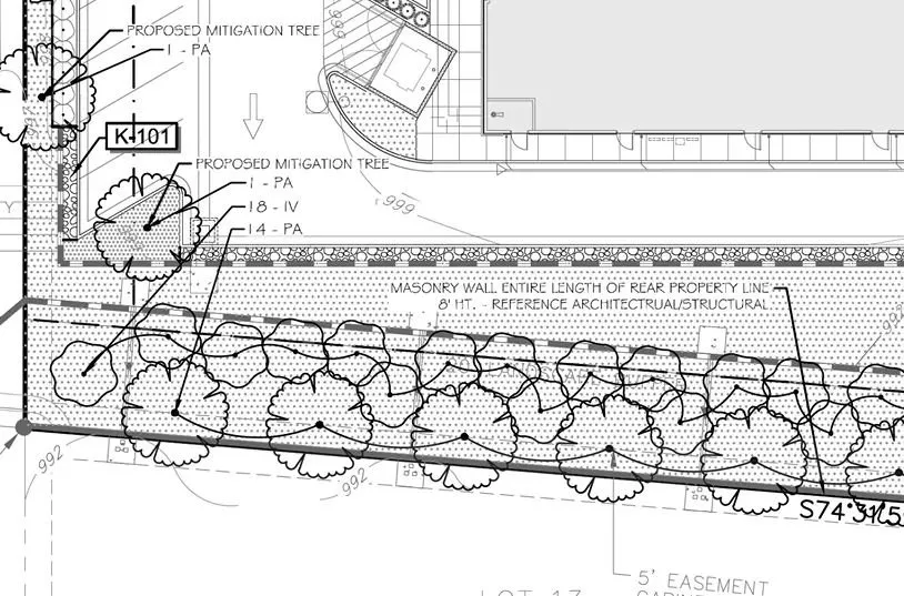 Expert yard cleanup service experts serving Kemah, TX - KTS Landscape & Irrigation