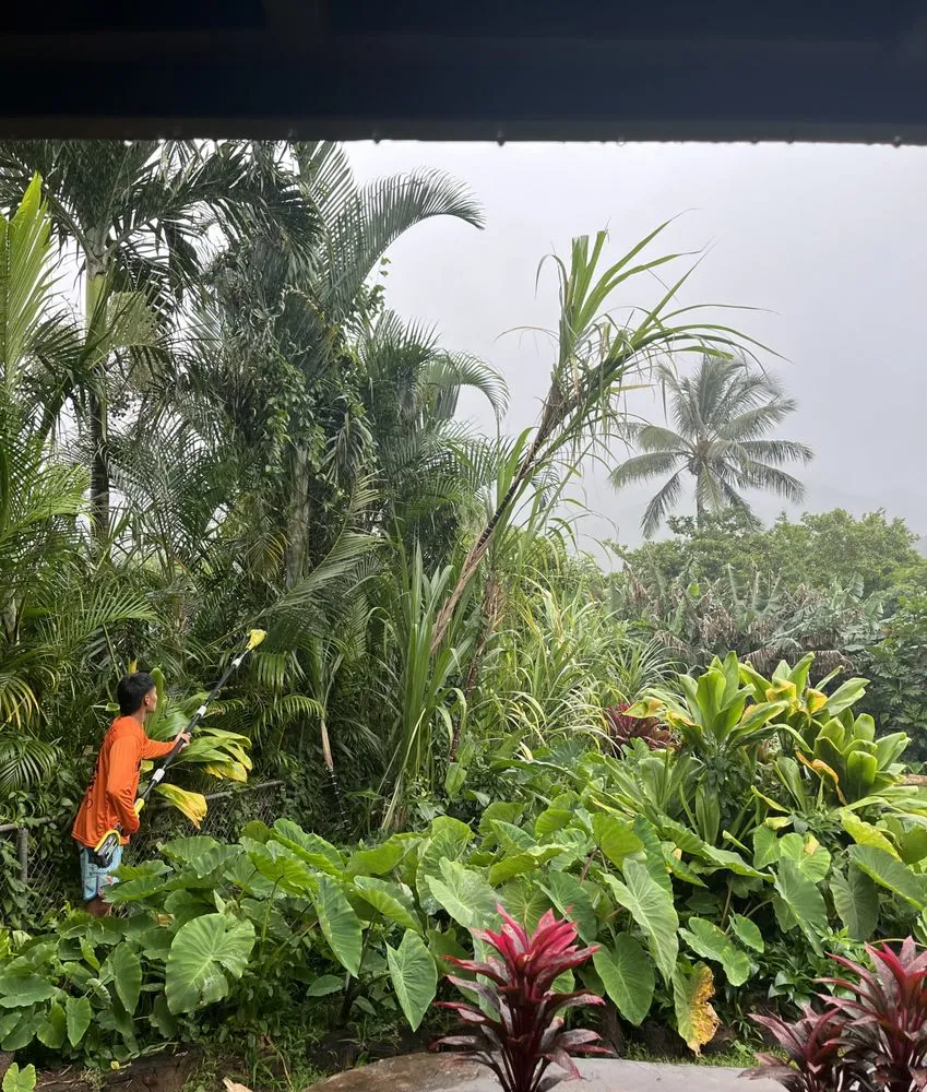 Affordable lawn care service for residential properties across Urban Honolulu, HI - Ku Pa’a Total Care