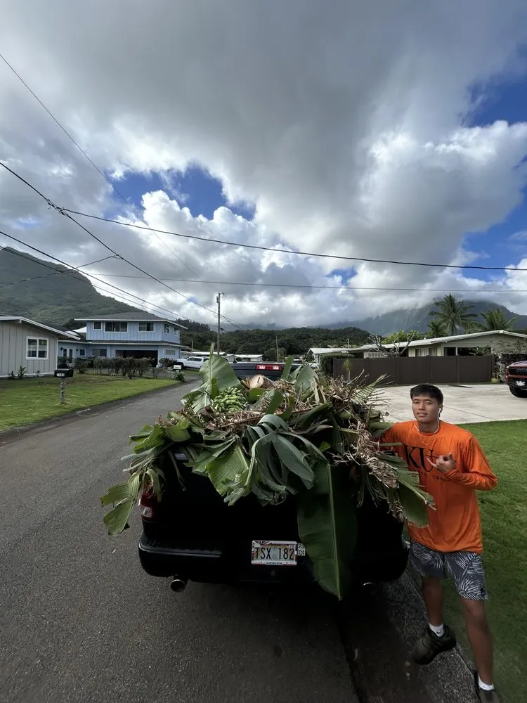 Trusted lawn care service in Urban Honolulu, HI by Ku Pa’a Total Care