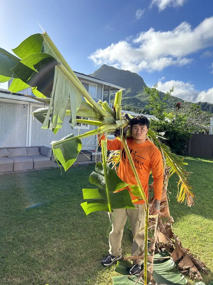 Professional lawn mowing service in Urban Honolulu, HI - Ku Pa’a Total Care