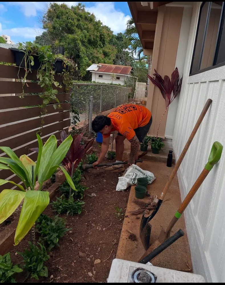 Custom outdoor landscaping in Urban Honolulu, HI by Ku Pa’a Total Care