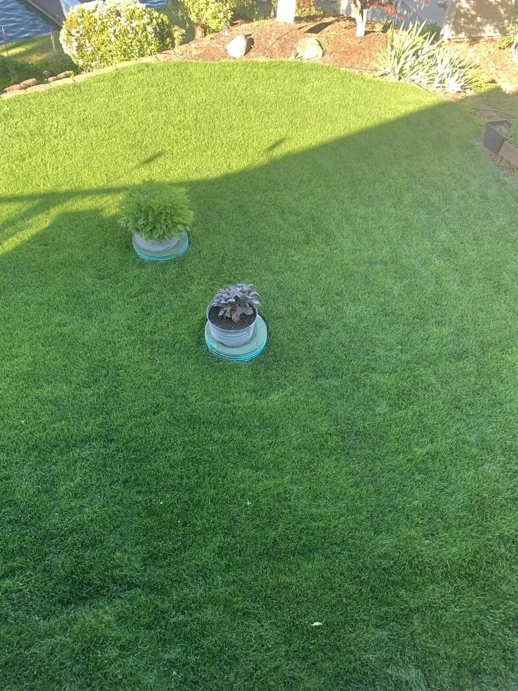 Reliable lawn mowing service experts serving Lacey, WA - Kuber Earthworks