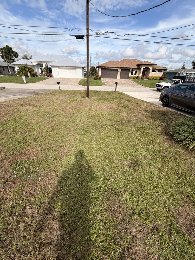 Custom landscaping services in Lehigh Acres, FL - Kudsi