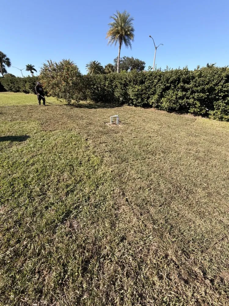 Trusted lawn mowing service for homes in Lehigh Acres, FL by Kudsi