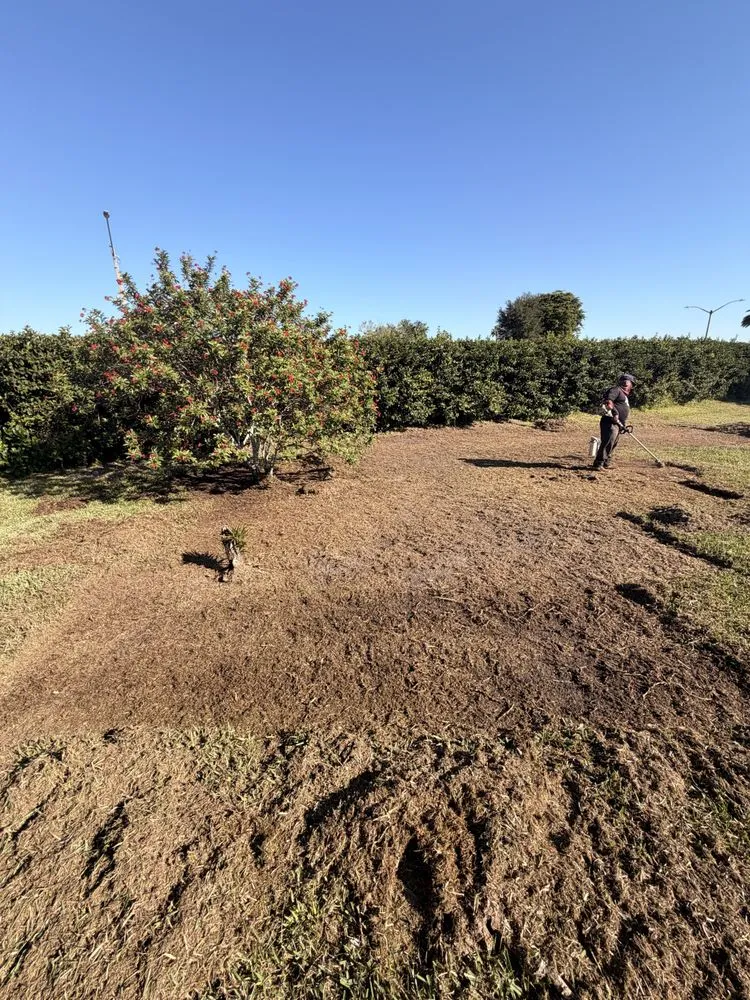 Expert garden landscaping in Lehigh Acres, FL - Kudsi