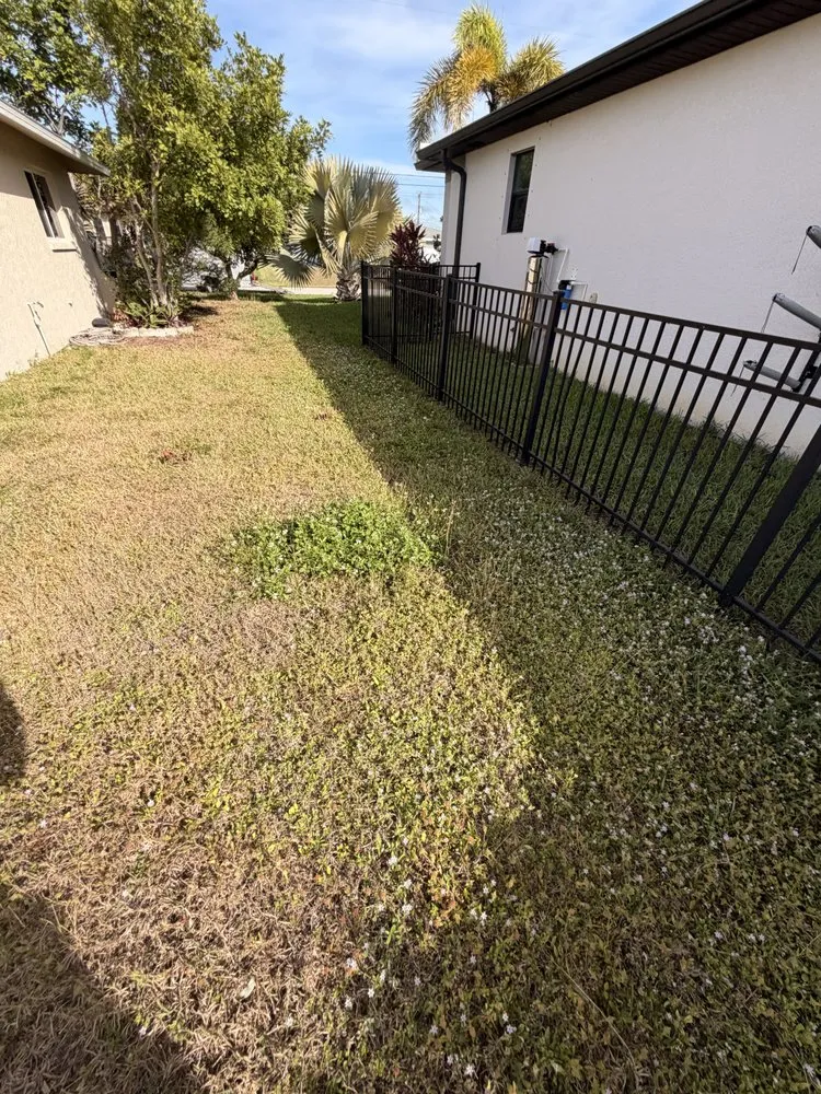 Affordable yard maintenance in Lehigh Acres, FL - Kudsi