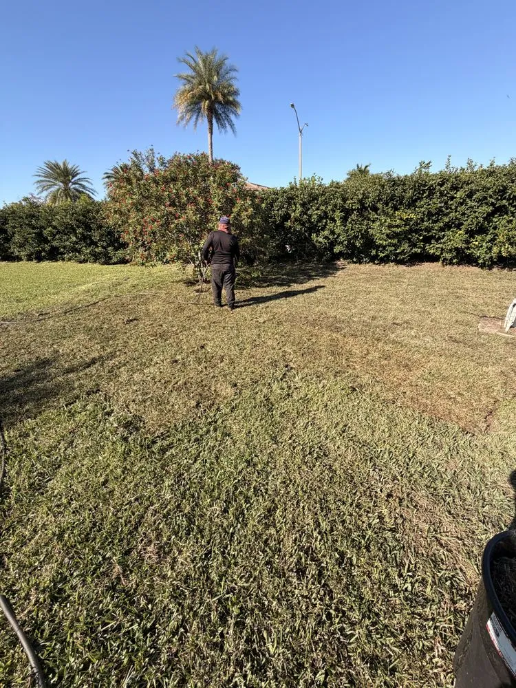 Trusted yard cleanup service for outdoor upgrades across Lehigh Acres, FL - Kudsi