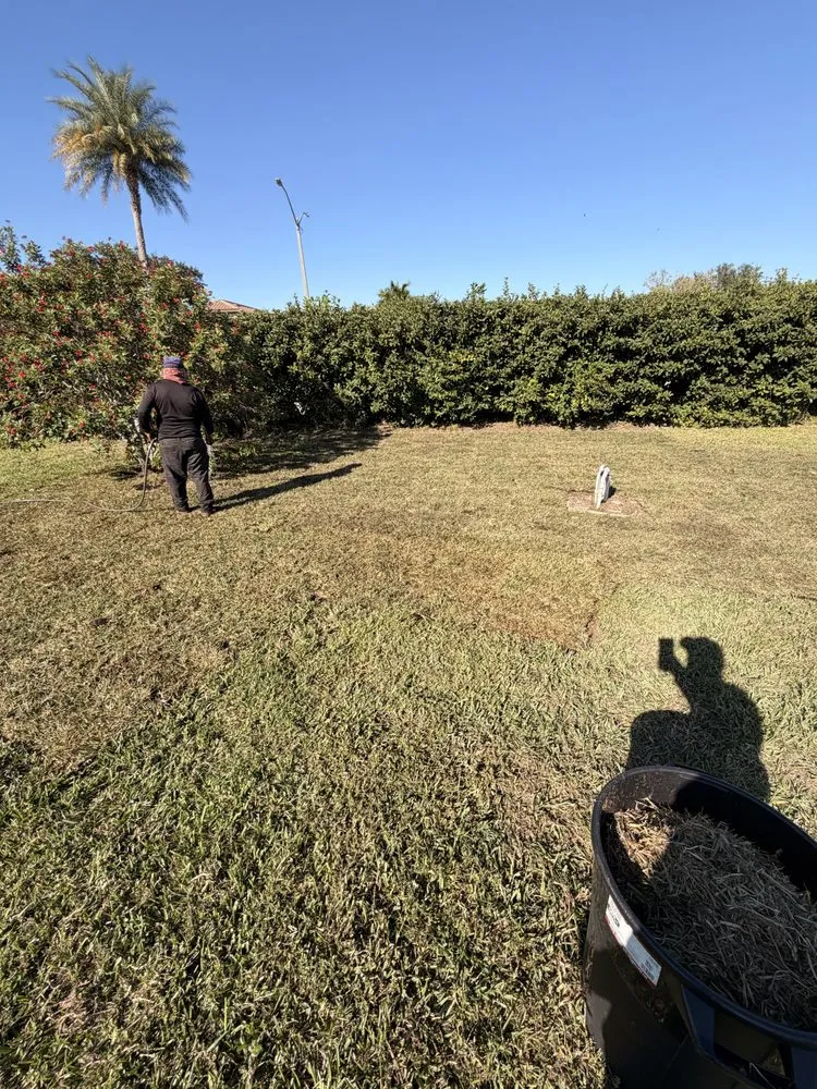 Affordable landscaping services with custom design in Lehigh Acres, FL by Kudsi