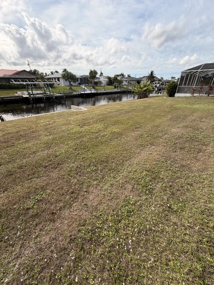 Top-rated residential landscaping for outdoor upgrades in Lehigh Acres, FL by Kudsi