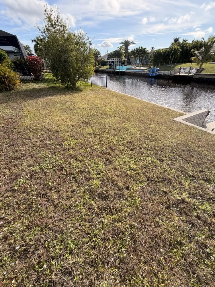 Affordable landscaping services in Lehigh Acres, FL by Kudsi