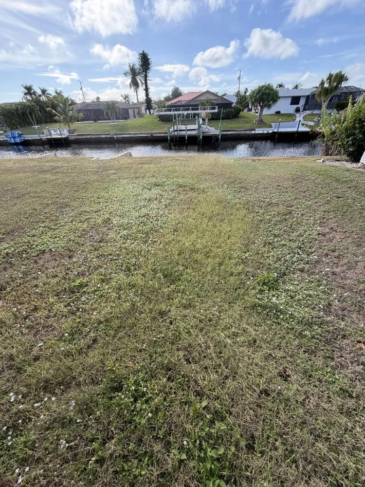 Custom yard cleanup service for residential properties across Lehigh Acres, FL - Kudsi