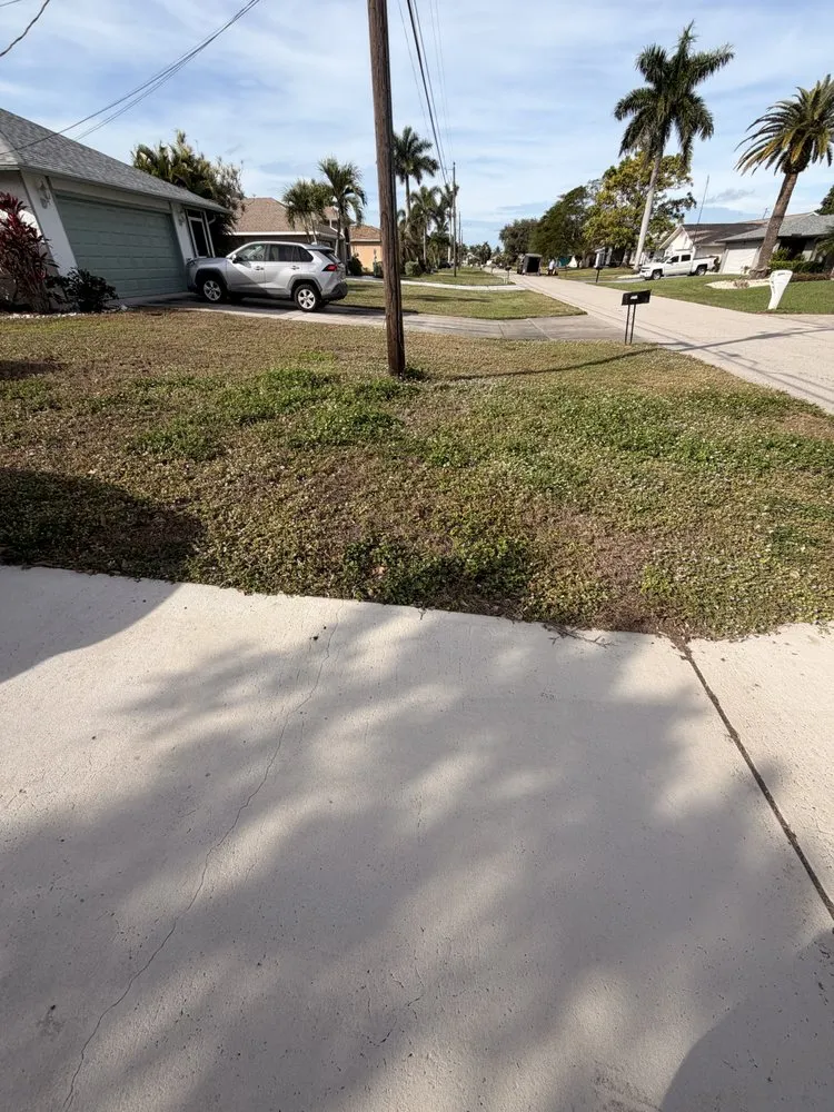 Local outdoor landscaping for year-round maintenance in Lehigh Acres, FL by Kudsi