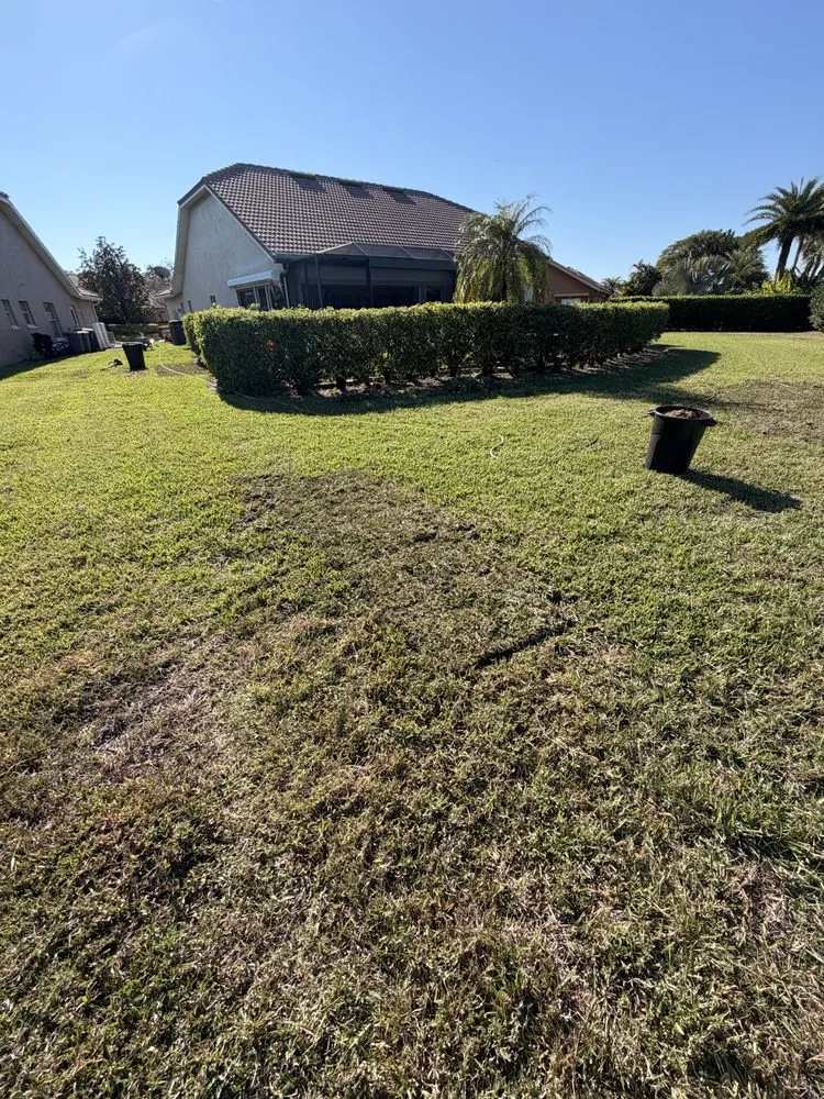 Top-rated lawn care service with custom design across Lehigh Acres, FL - Kudsi