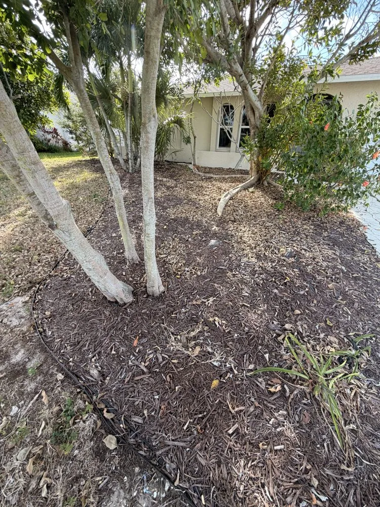 Affordable landscape design in Lehigh Acres, FL by Kudsi