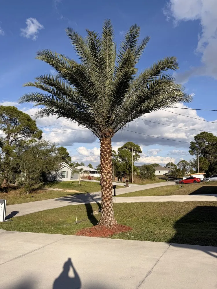 Top-rated landscape installation for residential properties across Lehigh Acres, FL - Kudsi