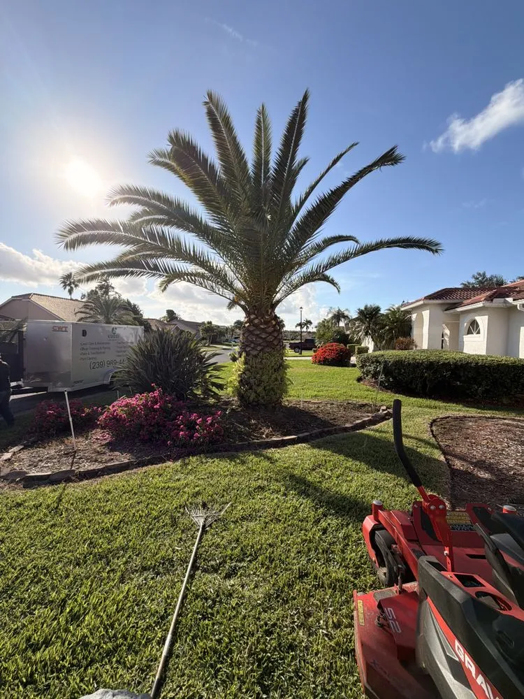 Professional lawn mowing service in Lehigh Acres, FL by Kudsi