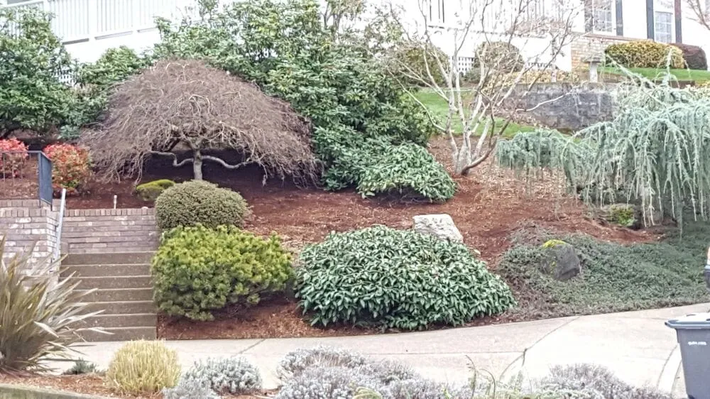 Affordable landscape design in Salem, OR by Kuebler Landscapes