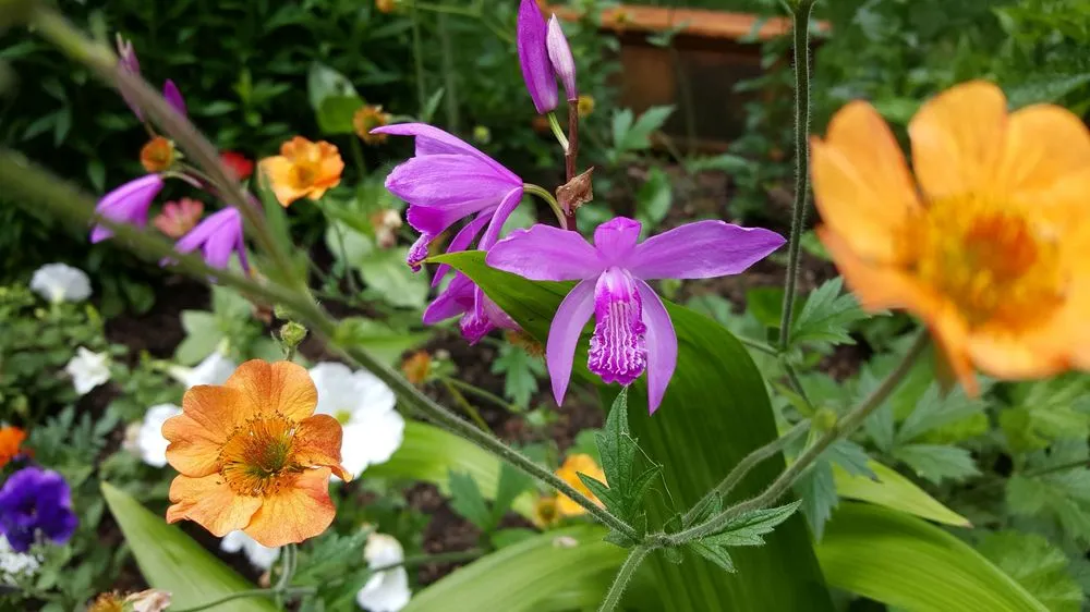 Custom yard maintenance with custom design in Salem, OR by Kuebler Landscapes