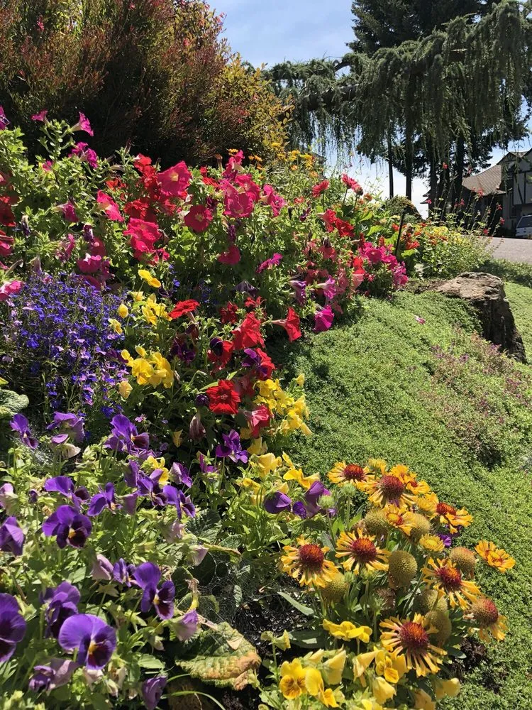 Trusted landscape installation for year-round maintenance in Salem, OR by Kuebler Landscapes