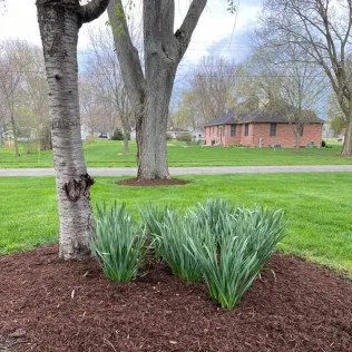 Expert landscaping services for outdoor upgrades across Magnolia, IL - Kuehn Lawn Services