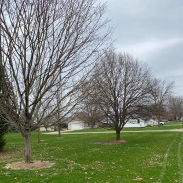 Expert landscape installation near you in Magnolia, IL by Kuehn Lawn Services