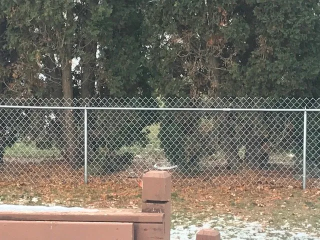 Affordable yard maintenance in New London, WI by Kuether Services