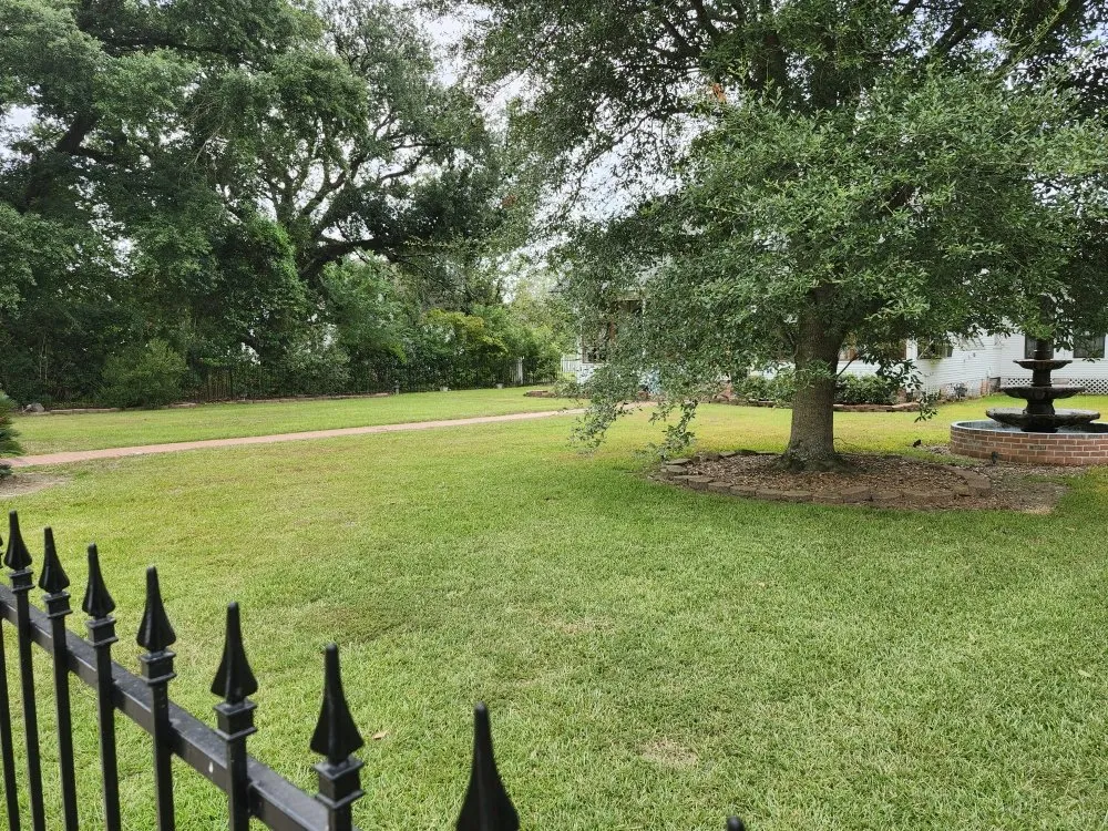 Reliable lawn care service experts serving Ponchatoula, LA - Kuhn Store