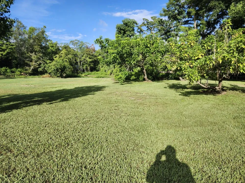 Reliable garden landscaping experts serving Ponchatoula, LA - Kuhn Store