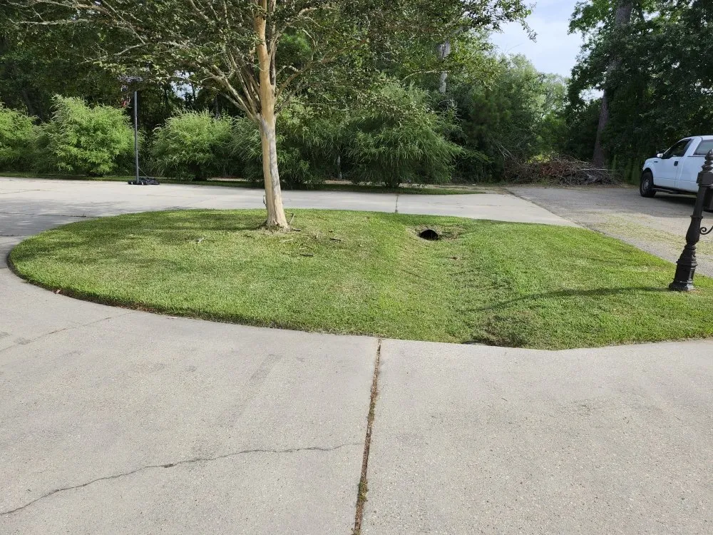 Reliable yard cleanup service in Ponchatoula, LA by Kuhn Store