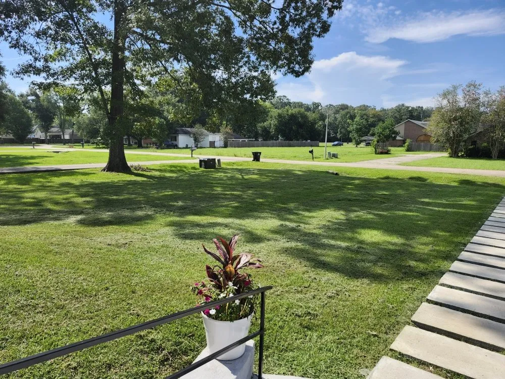 Affordable yard cleanup service in Ponchatoula, LA - Kuhn Store