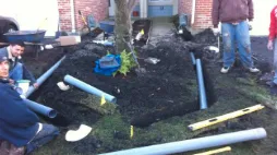 Affordable yard maintenance for beautiful yards across Naperville, IL - Kuhn's Lawn & Snow Service