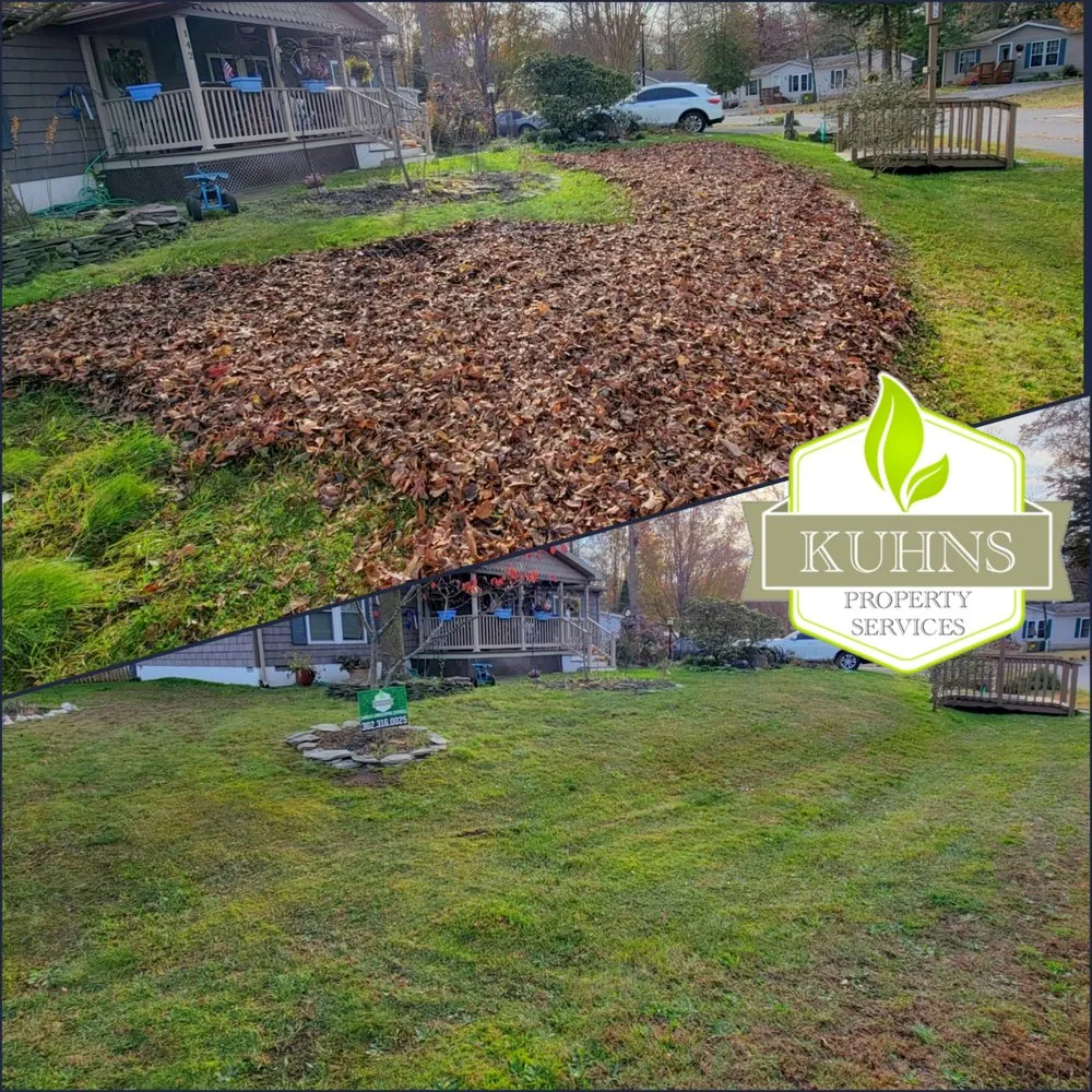 Local yard maintenance for beautiful yards across Millsboro, DE - Kuhns Property Services