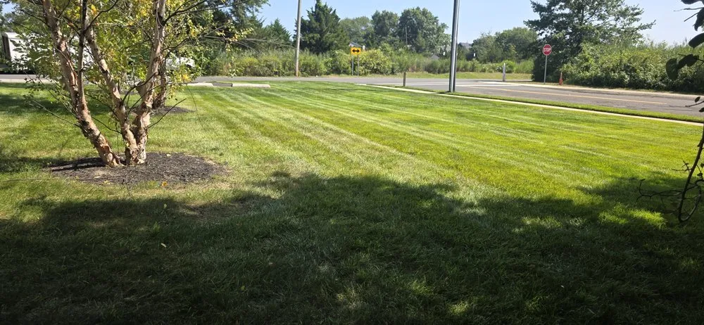 Reliable lawn mowing service in Lakewood, NJ by Kuki's Landscape&design