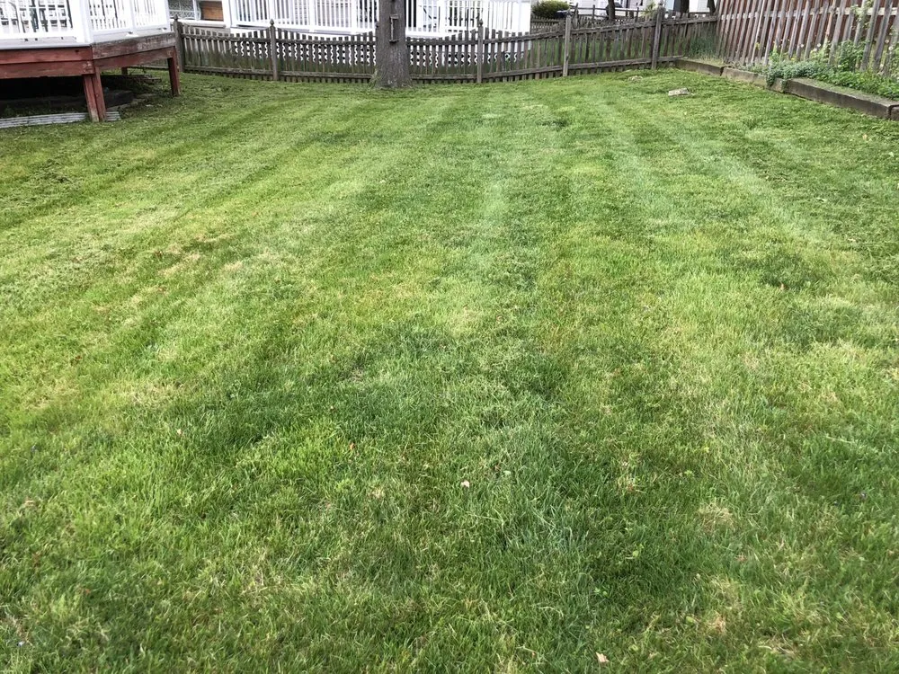 Reliable landscape installation for beautiful yards in Timonium, MD by Kukua Landscaping