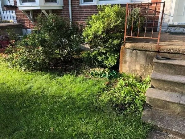 Expert yard maintenance in Timonium, MD - Kukua Landscaping