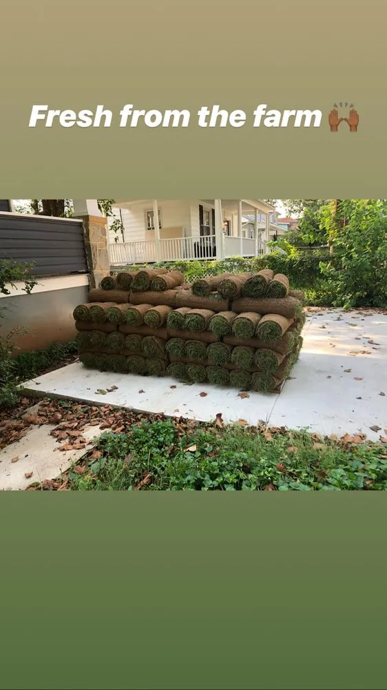 Affordable lawn care service in Timonium, MD by Kukua Landscaping