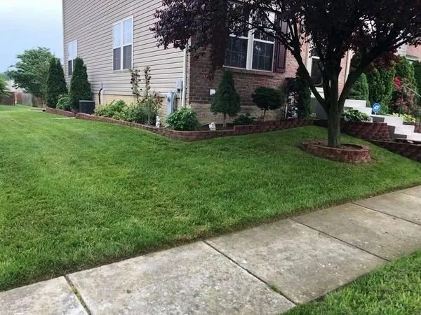 Trusted yard cleanup service near you in Timonium, MD by Kukua Landscaping