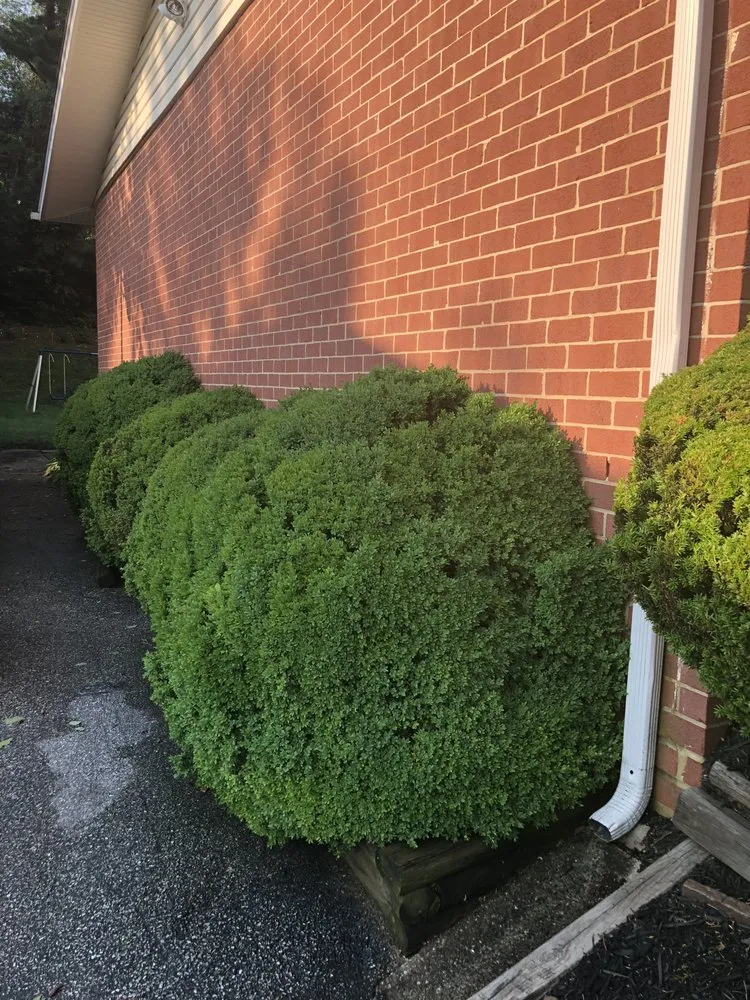 Professional yard cleanup service with custom design across Timonium, MD - Kukua Landscaping