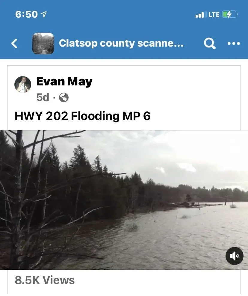 Expert lawn care service experts serving Cannon Beach, OR - Kukui House Services, LLC