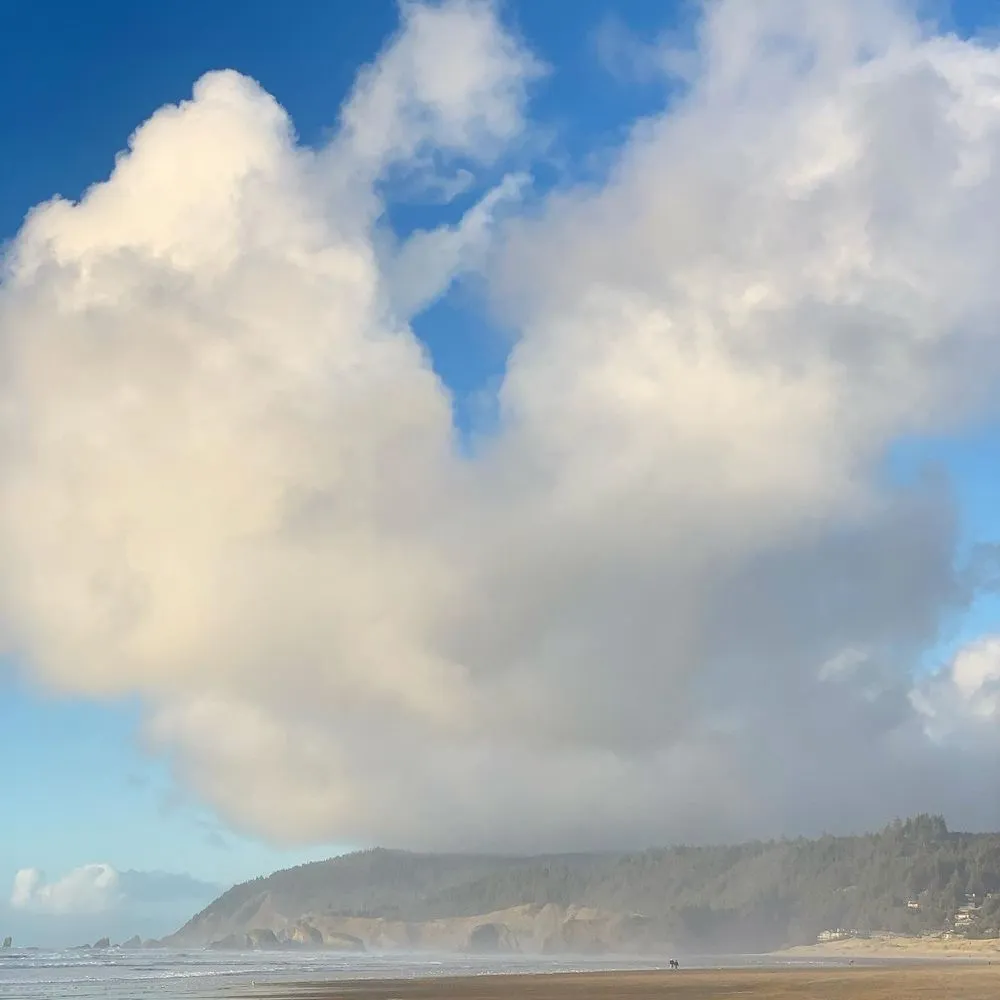 Trusted lawn care service experts serving Cannon Beach, OR - Kukui House Services, LLC