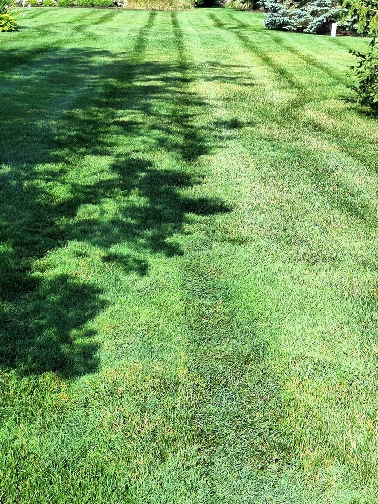 Custom yard cleanup service with custom design across Fort Wayne, IN - Kuku's Lawn & Landscape