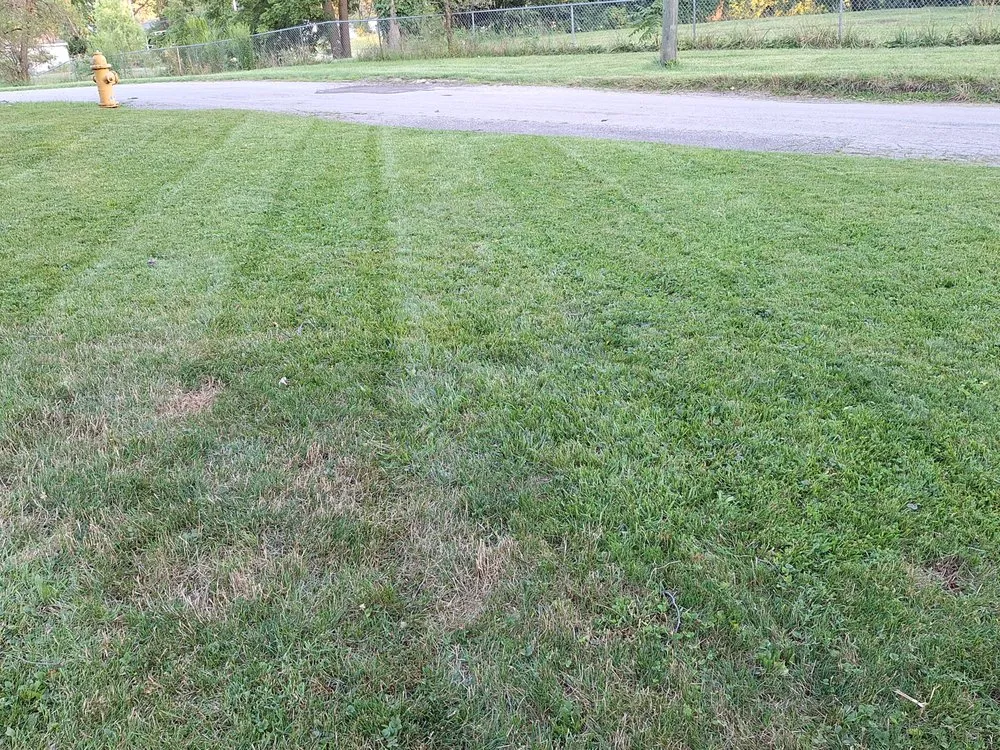 Affordable garden landscaping for year-round maintenance in Fort Wayne, IN by Kuku's Lawn & Landscape