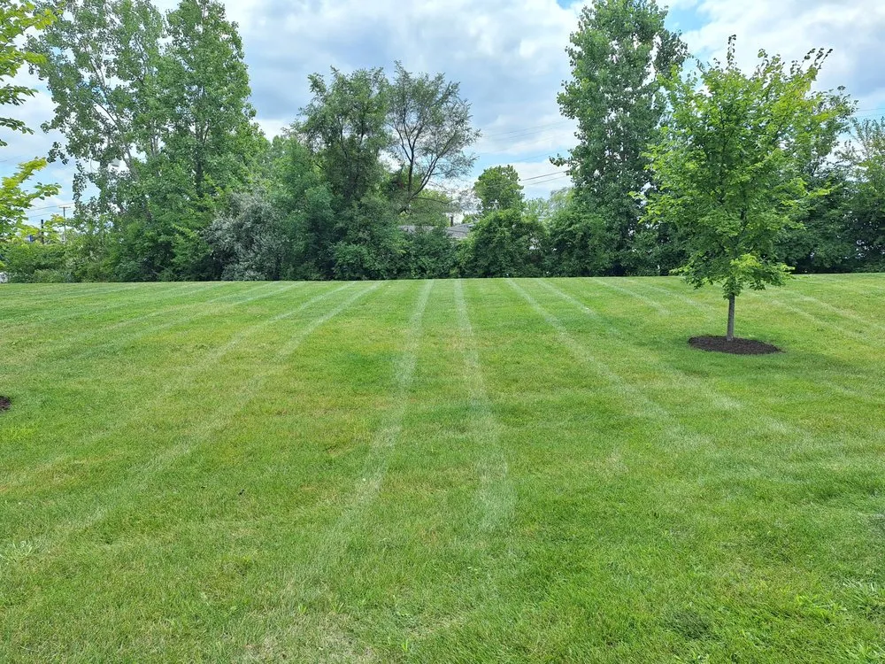 Trusted lawn care service for year-round maintenance in Fort Wayne, IN by Kuku's Lawn & Landscape