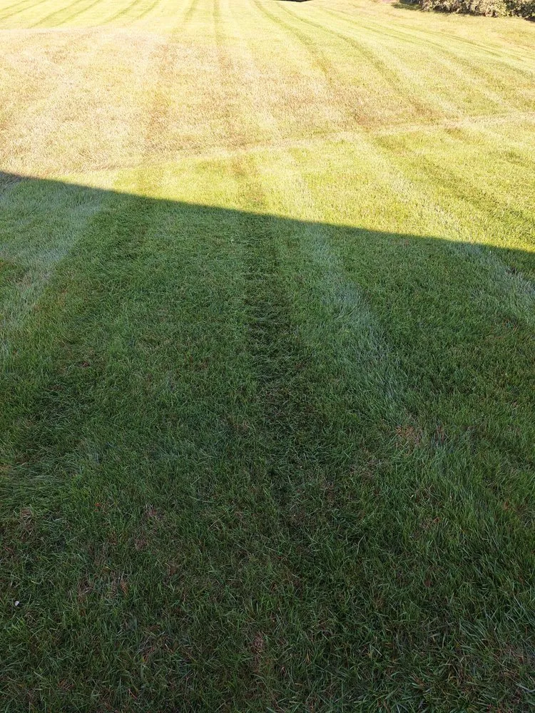 Reliable lawn mowing service near you in Fort Wayne, IN by Kuku's Lawn & Landscape
