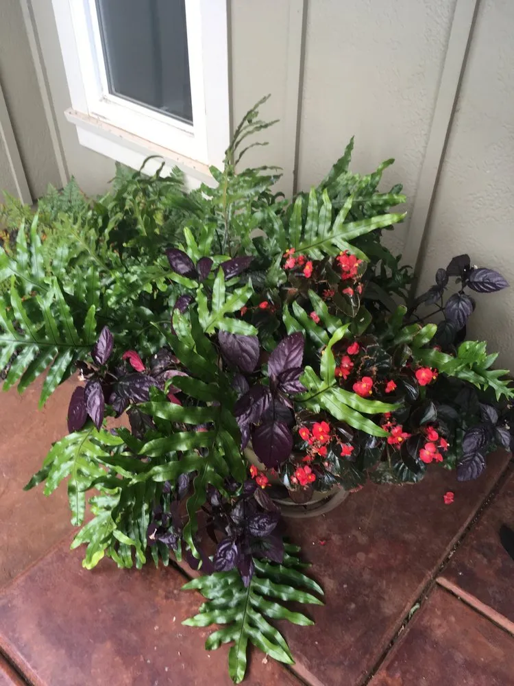 Affordable landscape design with custom design across Kula, HI - Kula Garden Design