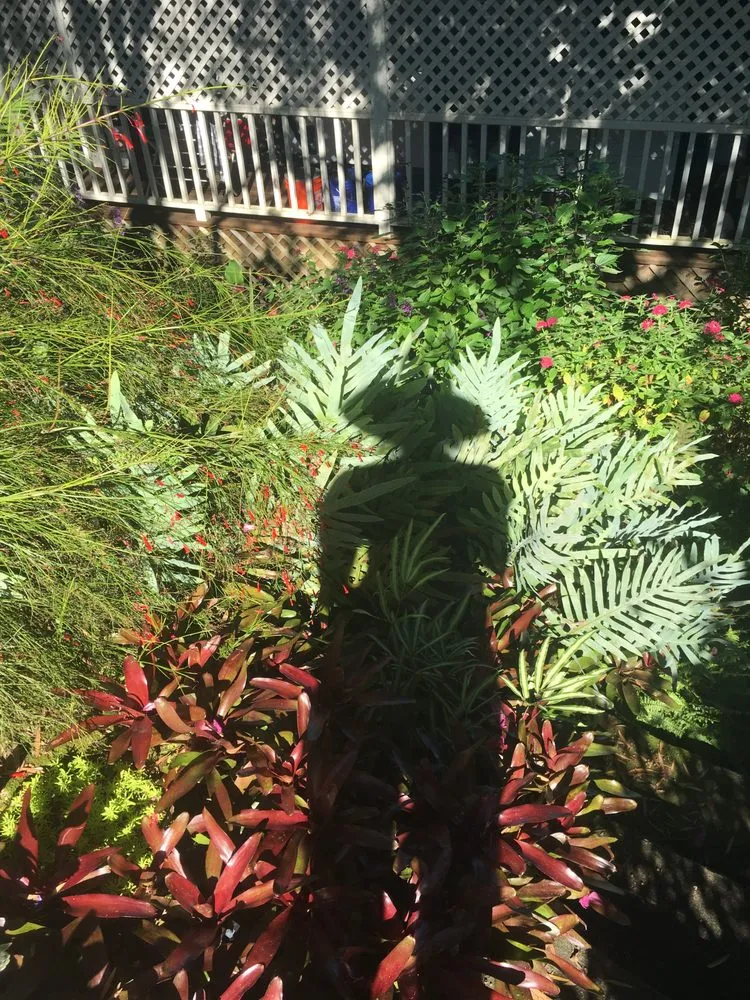 Expert yard maintenance in Kula, HI - Kula Garden Design