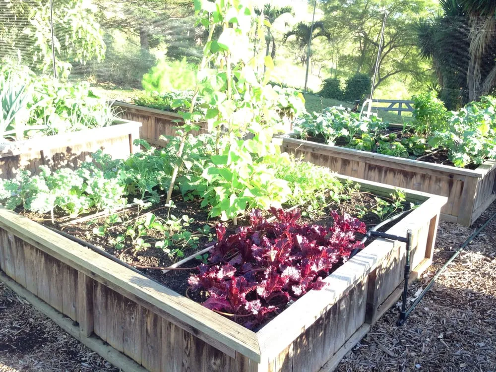 Reliable landscape installation in Kula, HI by Kula Garden Design