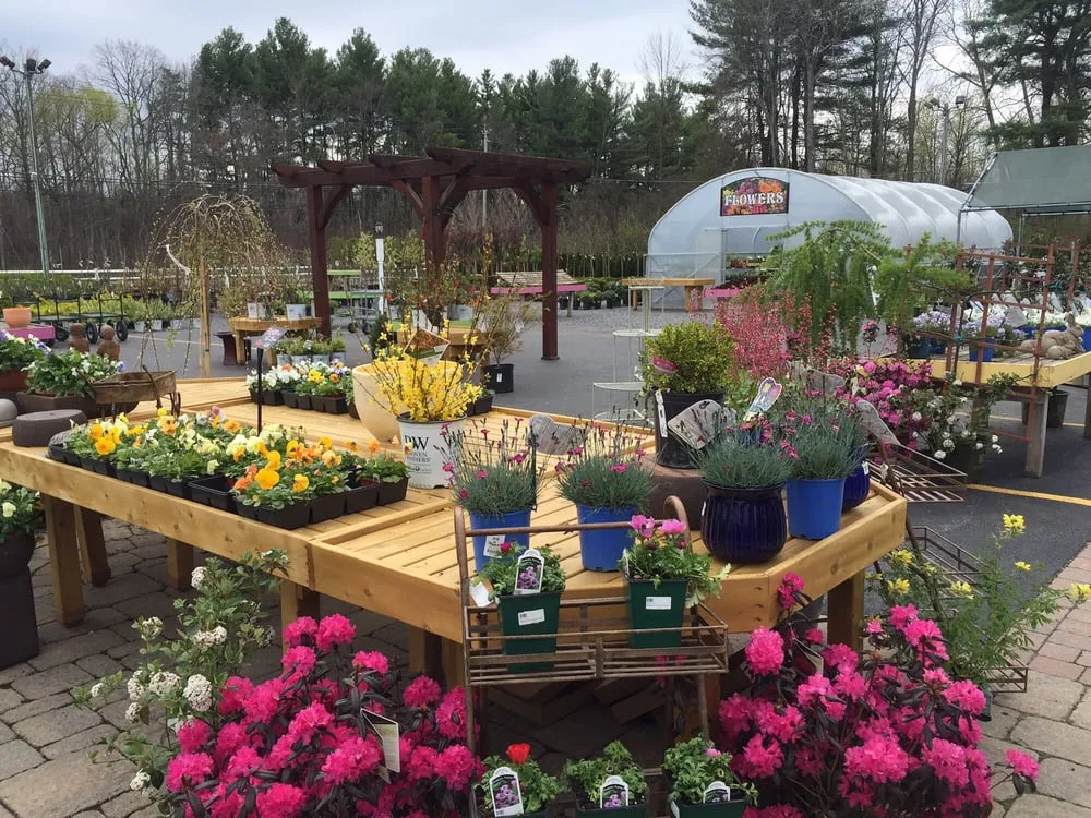 Professional yard maintenance for year-round maintenance across Rexford, NY - Kulak Nursery & Landscaping