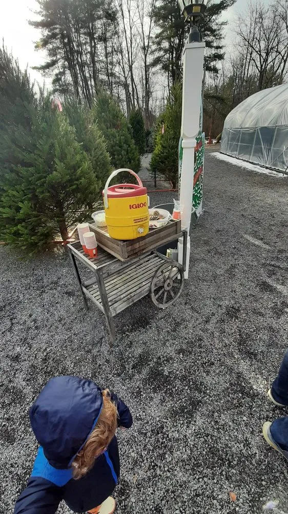 Trusted outdoor landscaping experts serving Rexford, NY - Kulak Nursery & Landscaping